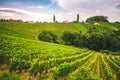 Famous heart shaped road at vineyards ÃÂ piÃÂnik in Slovenia. Rows vineyards near Maribor, close to the Austrian